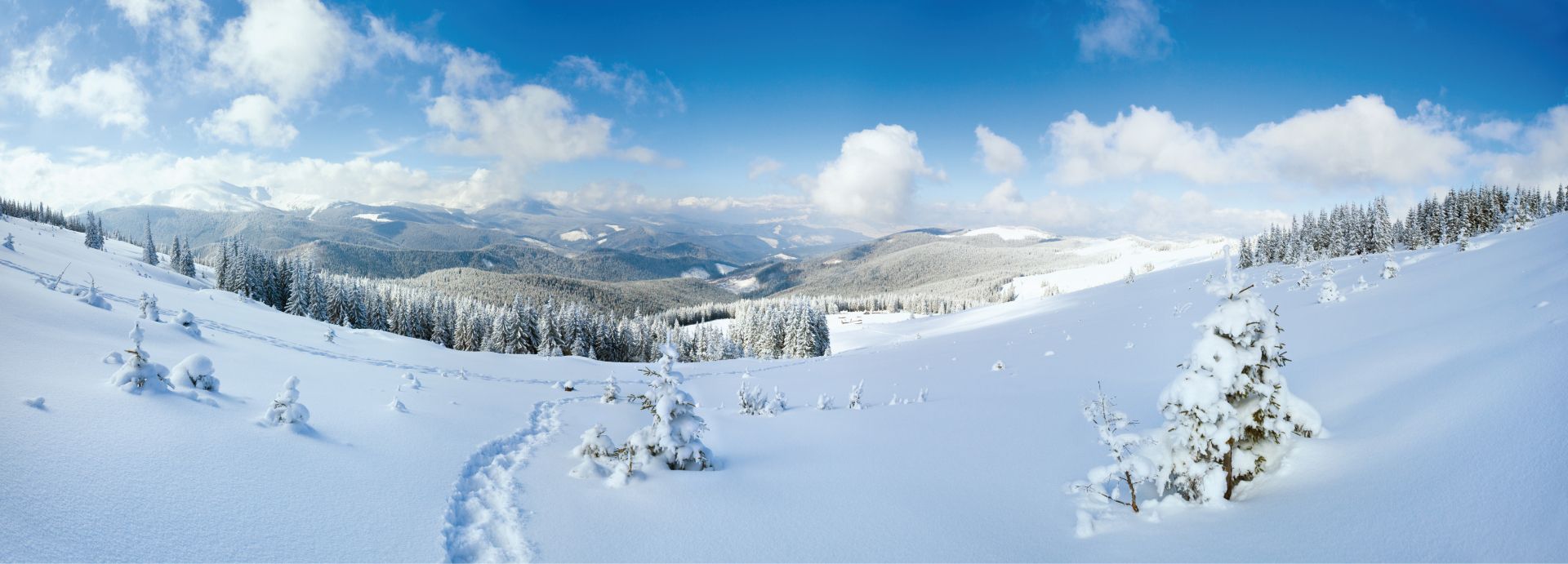domaine-de-champe-hiver-neige vosges CHAMPE.jpg