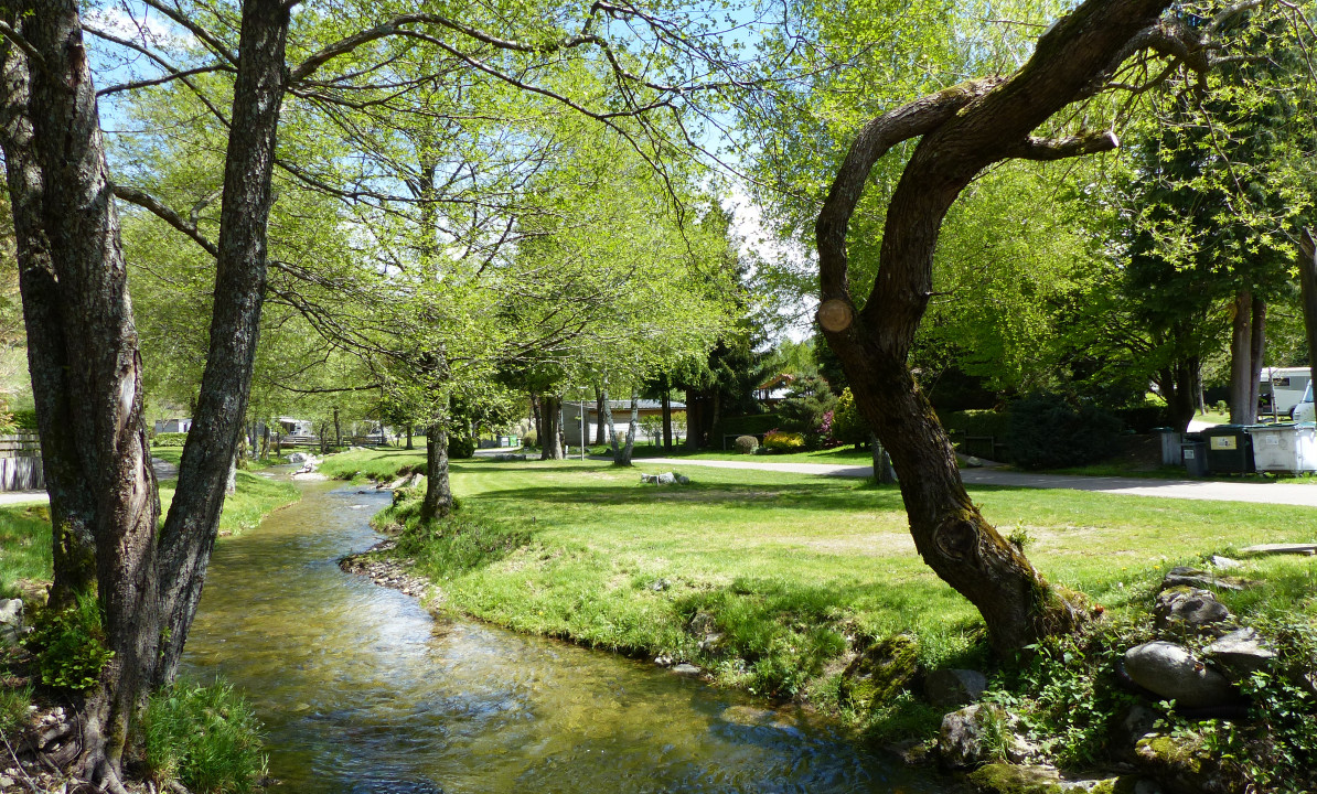 Domaine de Champé — photo 6